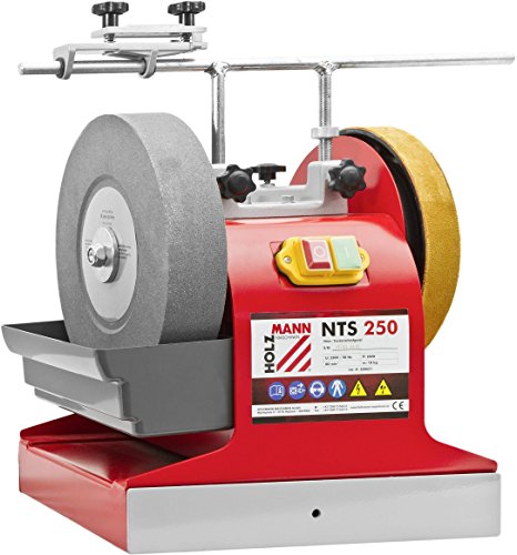 Ponceuse à eau/à sec Holzmann Maschinen NTS250_230V NTS250_230V NTS250_230V 200 W 250 mm 1 pc(s)