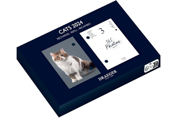 DRAEGER PARIS 1886 - Recharge Éphéméride Agenda Yvon 2024-365 Feuillets & Photos de Chats - Multilingue: Français, Anglais, Espagnol... - Compatible Socle Bambou - 11x1.5x16cm