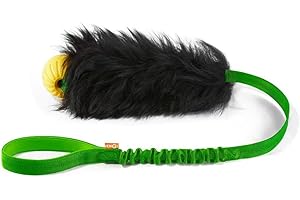 HOWGO Dog Rope Toy,Dog Bungee Chaser 100% Sheepskin,Sheep Smell Tug Toy for All Breeds (Green, with rubber ball)