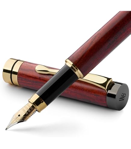 HÖRNER SCRIPTUM - penna stilografica di alta qualità in legno I nobile confezione regalo I incluso convertitore I design di lusso I nobile pennino Made in Germany - Italia