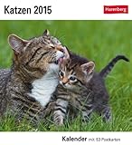 Image de Katzen Postkartenkalender 2015: Kalender mit 53 Postkarten