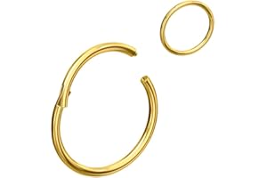 NewkeepsR 0.8/1.0/1.2/1.6/2.0/2.5/3.0/4.0mm Acier à charnière Septum Segment Clicker Lèvres Nez Anneau Hoop Helix Cartilage Daith Tragus