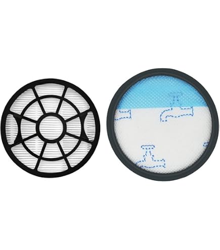 vhbw filtro HEPA compatibile con Rowenta Silent Force Extreme Cyclonic RO826411/410, RO8271EA