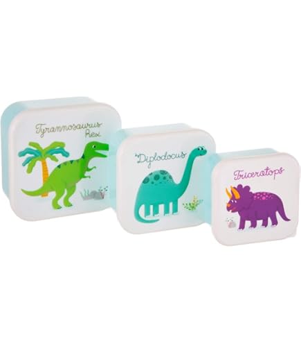Clastye Geïsoleerde schoollunchtas voor kinderen, cartoon, groene dinosaurus, meisje, jongen, grote draagbare lunchkoeltas voor buiten, picknick, lichtgewicht, waterbestendige voering