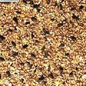 HANU Bajri Bird Food 2KG | Mix Seed for Budgies, Love Birds, Cocktails and Finches, Small Birds 08