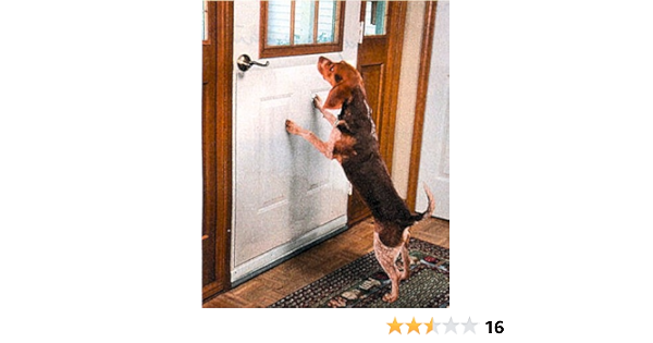 dog door scratch protector uk