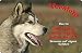 Produktbild +++ SIBERIAN Sibirien HUSKY Schlittenhund - Metall WARNSCHILD Schild Hundeschild Sign - SBH 06 T1