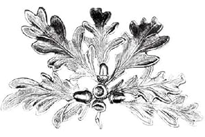 Hi Life Living Nature Foglia Alluminio per Fissaggio Trofeo Cinghiale, Denti, zanne 2698