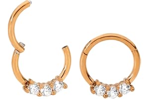 365 SLEEPERS 316L Surgical Steel Hypoallergenic 16G Gem Septum Jewelry Hinged Segment Ring Body Piercing Hoop Lip Rings Helix Cartilage Rook Sleeper Earrings 8mm – 10mm