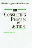 Image de The Consulting Process in Action