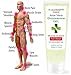 GLUCOSAMINA FORTE Aloe Vera and Glucosamine Gel - For Athletes - Joints Gel - 100% Natural - Provides Back Pain Relief, Muscle and Joint 227 ml - 8 OZ