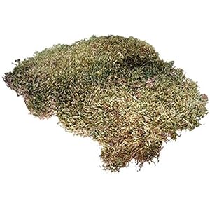 Hobby 34095 Terrano Moos, 100g