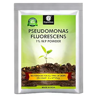 OrganicDews Pseudomonas Fluorescens Powder(2x10^8 CFU/g) Bio Fungicide (125 g) for Seeds and Garden Plants - Against Root/Stem Rot, Wilt Fungal Dieases