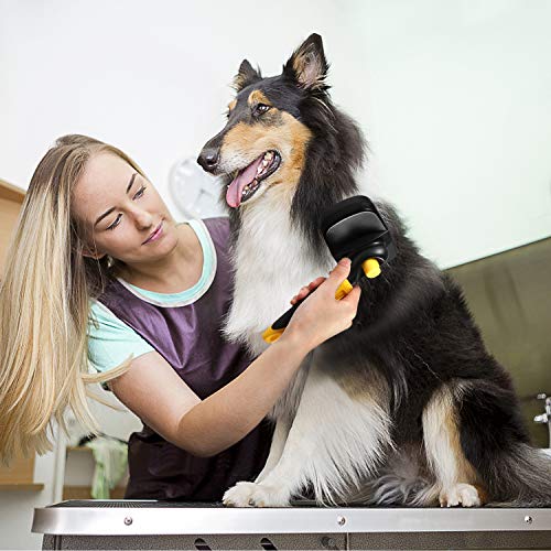 Bonve-Pet-Brosse-Chiens-et-Chats-Autonettoyante-Enlvement-Efficace-jusqu-95-des-Poils-Morts-sous-Poils-Peignes-Poils-Animaux-Professionnels-Enlvement-des-Poils-en-Un-Clic-Chiens-Chats