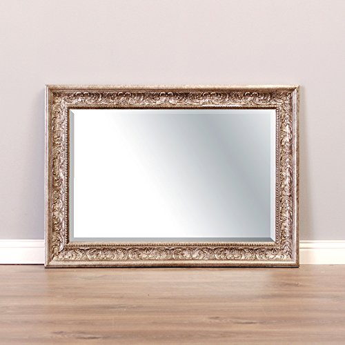 Pompöser Barock Spiegel FIORA 90x70cm Silber – Antik - 6