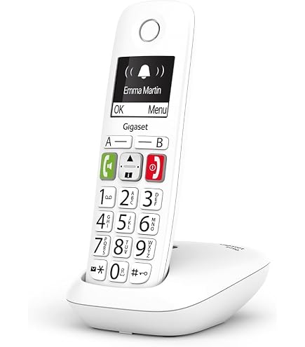 Panasonic Telefono KX-TGE250SPB - Modello Per Anziani Con Tasti Grandi E Chiamate Chiare
