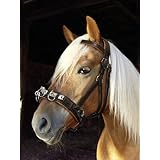 Kerbl 321168 Kappzaum Leder Warmblut, braun