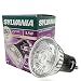 Produktbild Sylvania RefLED – Lichtertüte Luminaria RefLED + ES50 V2 5,5 W 360lm 2700 K 40 †