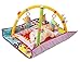 Taf Toys Kooky Gym Thickly Padded Play Gym