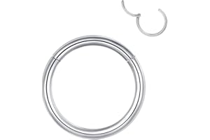 Popuhoops Hypoallergenic Hinged Hoop Nose Rings 20G 18G 16G 14G 12G 10G 8G Diameter 5mm to 16mm 316L Surgical Steel Septum Ring Body Piercing Jewelry Nose Helix Cartilage Rook Earrings