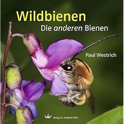 Wildbienen: Die anderen Bienen Wildbienen: Die anderen Bienen