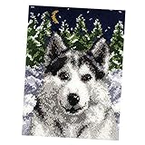 Dies ist eine Art manuelles Arbeiten, das dem Kreuzstich ähnelt, und Anfänger können es schnell beherrschen.