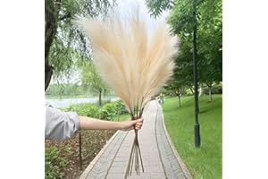 SAMNATE Bundle of 5 Natural Dried flowers Faux Pampas Grass Decor, 43"/110cm (Beige Color) Fake Artificial Grass Decor Tall Fluffy Stems, Floor Vase Filler for Living Room, Kitchen Decor or Boho Decor (Beige)