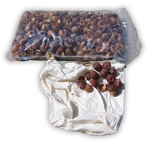 Preisvergleich Produktbild Waschnuss-Schalen Waschnüsse 1kg inkl. Stoffbeutel / biologisches Waschmittel