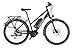 Produktbild Fischer Damen E-Bike Trekking 9-Gang Proline EVO ETD 1607, 28 Zoll, 19223