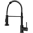 DAYONE Black Kitchen Faucets with 2 Water Mode Sprayer, Stainless Steel Commercial Spring Kitchen Tap Sink Mixer, DAY-8101MB