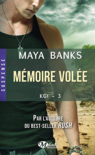 KGI, Tome 3: Mémoire volée en ligne