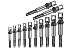 ‎FRANKBERG Frankberg 12x Zündspule Zündmodul Kompatibel mit E46 E90 E91 E92 E93 E39 E60 E61 F07 E63 E64 F13 E81 E82 E87 E88 F20 F21 7er X1 X3 X5 X6 Z3 Z4 M.i.n.i Replace# 12131712219