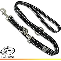 FEUERWOLF Hundeleine 3-fach längenverstellbar 2 Meter lang - Doppelleine - Für mittlere und große Hunde - Robust und stabil - Beidseitig reflektierend - schwarz