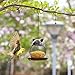 Produktbild FAMLYJK Hängende Wilde Vogelzufuhr für Garten-Gazebo-Hinterhof außerhalb der Dekoration