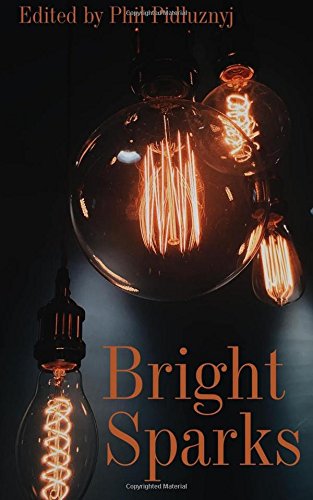 Preisvergleich Produktbild Bright Sparks: Words Through A Filament (Nottingham College Anthology)