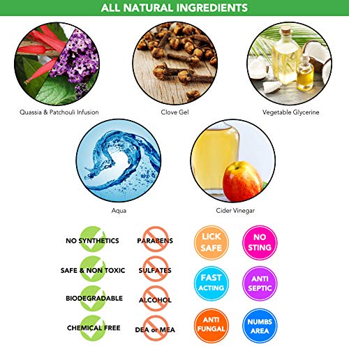 Spray-Pour-Le-Traitement-Des-Dmangeaisons-Et-Des-Plaies-Pour-Chiens-Chats-Entirement-Naturel-Soin-Cutan-Anti-Dmangeaisons-Apaise-Les-Dmangeaisons-Les-Lsions-Cutanes-Et-Les-Plaies