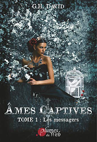 Télécharger Âmes Captives, Tome 1 : Les messagers PDF