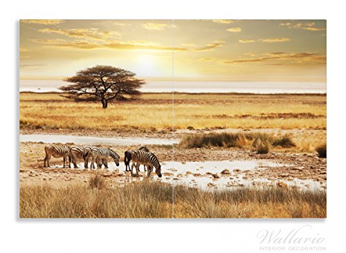 Wallario Herdabdeckplatte / Spritzschutz aus Glas, 2-teilig, 80x52cm, für Ceran- und Induktionsherde, Motiv Safari in Afrika eine Herde Zebras am Wasser