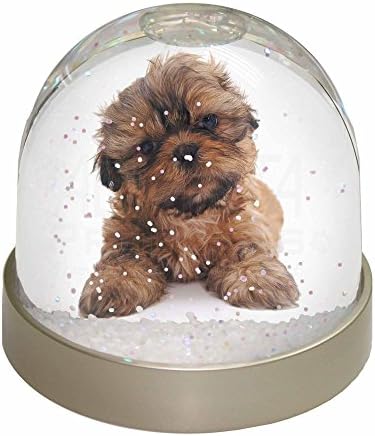 Advanta Group Shih-Tzu Dog Photo Snow Globe Waterball
