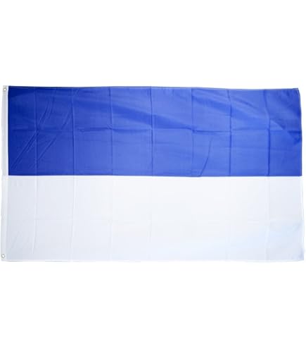 Flaggenfritze® Stockflagge Sambia – 30 X 45 Cm, Wetterfest Mit Holzstab