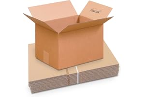 Master'in - Caisse carton simple cannelure - Brune - 310 x 220 x 200 mm - Lot de 20 caisses
