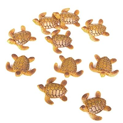 Générique 10pcs Miniature Maison De Poupee Bonsai Jardin Feerique Paysage Tortue De Mer Decoration