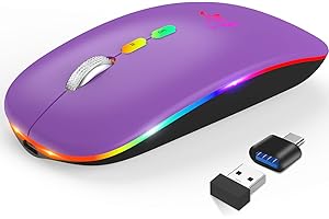 KBCASE Souris Bluetooth iPad, RGB Souris sans Fil Rechargeable, avec Récepteur USB, Silencieuse, BT 5.1+2.4G Deux Modes Disponibles, 1000-1600 DPI Réglable pour Mac OS/Windows/Andriod/Microsoft