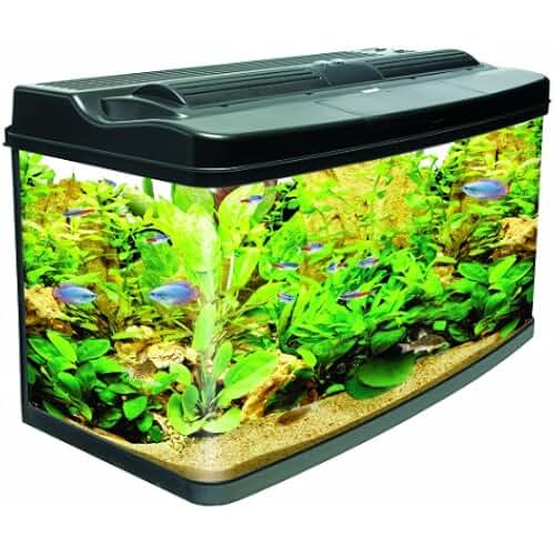 Amazon.co.uk 4ft fish tank light