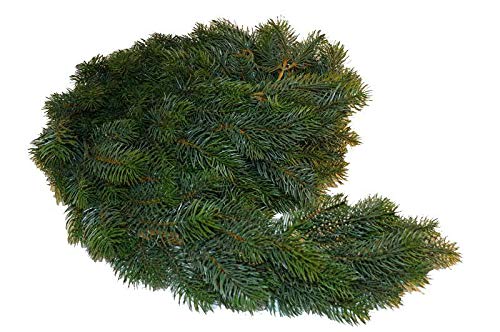 Weihnachtsgirlanden Weihnachtsgirlanden Geschmückt Shop