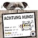 Produktbild Hunde-Warnschild Schutz vor AUE-Fans | Dynamo Dresden-, FSV Zwickau & Alle Fußball-Fans, Dieser Revier-Markierer schützt Haus & Hof vor AUE-Fans | Spaßgarantie | Achtung Vorsicht Hund Bissig | Vorsi