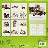 Image de Calendario Perritos y gatitos 2015 (Calendarios y agendas)