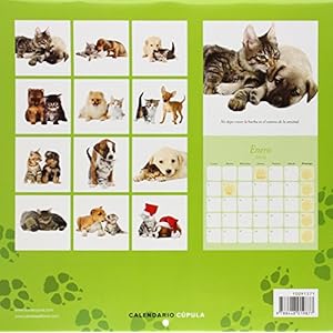 Calendario Perritos y gatitos 2015