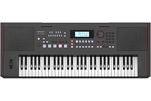 Clavier arrangeur électronique E-X50 Roland - Facile d'utilisation | Haut-parleurs stéréo | Bluetooth | Sons Roland professionnels | Entrée micro | Fonction d'accompagnement automatique