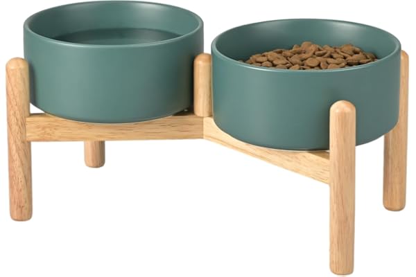 SPUNKYJUNKY Gamelle surélevée en céramique pour chien avec support en bambou pour chiens de taille moyenne et grande (850 ml, vert)